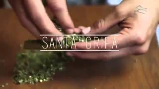 Descargar Como Me Encula Esa Dama Santa Grifa Con Mp3 Gratis Mimp3 mimp3