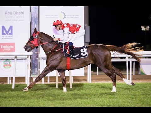 Abu Dhabi 15.12.19 Race 4