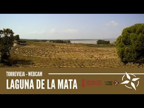 Live webcam view of Laguna de La Mata Salt Lagoon