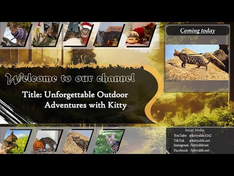 Unforgettable Outdoor Adventures with Kitty – Explore the Wild! ▶0:47
