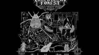 Carpathian Forest - Everyday I Must Suffer