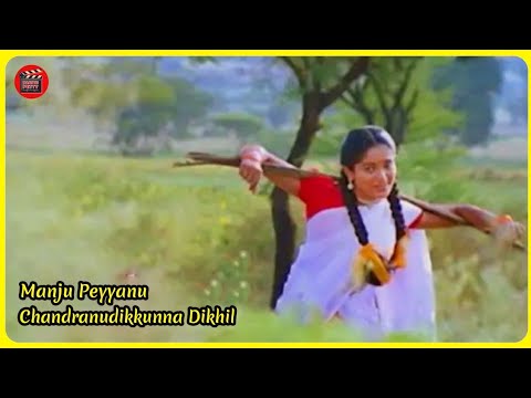 Chandranudikkunna Dikhil | Full Malayalam Movie | Dileep Kavya Madhavan