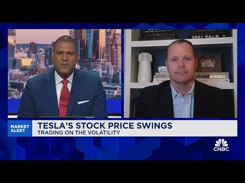 Acheychek: Tesla is a polarized stock—people love it or hate it