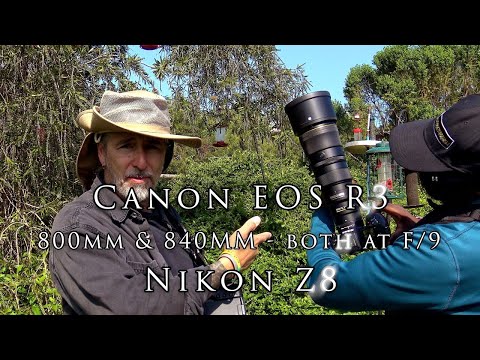 Canon R3 and Nikon Z8 go head to ankle - what is your preference?