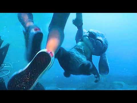 Lilo & Stitch (2025) | End Scene Recap | Stitch Drowns in Water | Full Recap