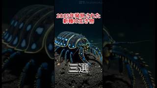 2025年発見された新種の生き物 7