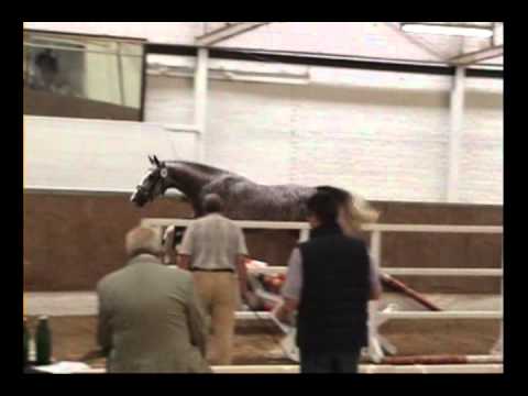 KVA Nr. 37 (Oetzen) v. Calido / All in One