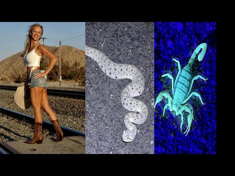 Girls, Snakes, Scorpions and good times!