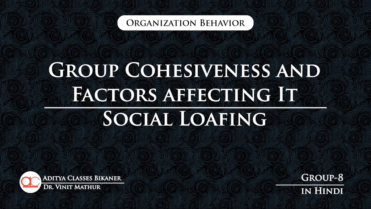 Group-8: Group Cohesiveness | Organization Behavior(in Hindi)