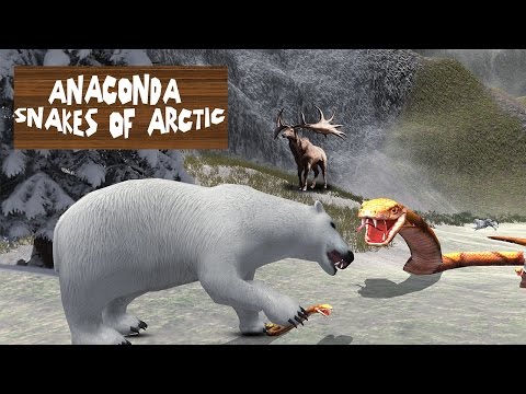Anaconda Snakes of the Arctic Video