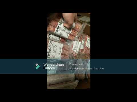 Perfect Summer Half Hog Example