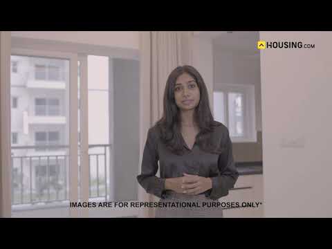 ASBL Springs Project Video 1