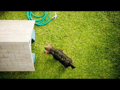 El mejor invento para ver fútbol es DIRECTV