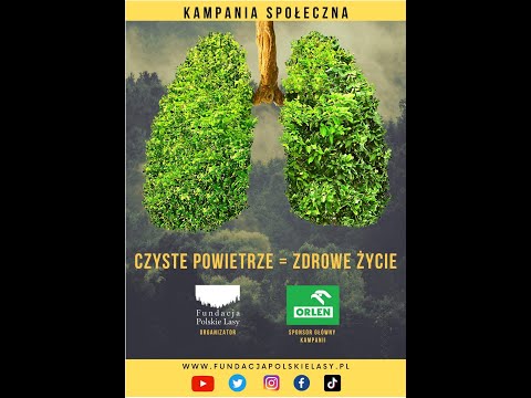 Zielone Płuca Polski - wpływ zalesienia na jakość powietrza