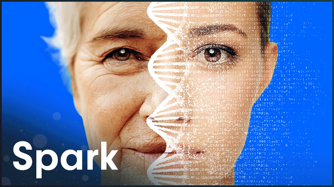 Longevity Hacking: Can We "Cure" Death?