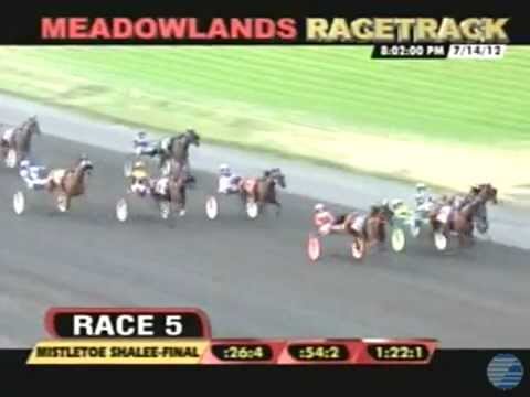 Major Look - 2012 Mistletoe Shalee - The Meadowlands