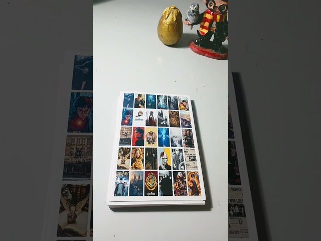 Vídeo relacionado con Grupo Erik Poster Harry Potter, 2 Posters para pared - Decoracion Harry Potter : Laminas decorativas, Harry Potter regalos : Posters decorativos (38x52 cm)