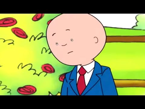 Caillou the Wedding Planner | Caillou | Cartoons for Kids | WildBrain - Preschool