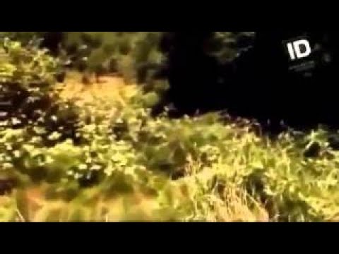 Discovery Presuntos Inocentes El asesino de la carita feliz 1de2