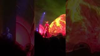 "Discover what words can't express—dive into the hidden world of cruise entertainment with us.