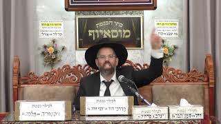 בית הכנסת מוסאיוף שידור חי • יום שני יב' חשוון תשפ'ו (בית הכנסת מוסאיוף) - התמונה מוצגת ישירות מתוך אתר האינטרנט יוטיוב. זכויות היוצרים בתמונה שייכות ליוצרה. קישור קרדיט למקור התוכן נמצא בתוך דף הסרטון בית הכנסת מוסאיוף שידור חי • יום שני יב' חשוון תשפ'ו (בית הכנסת מוסאיוף) - התמונה מוצגת ישירות מתוך אתר האינטרנט יוטיוב. זכויות היוצרים בתמונה שייכות ליוצרה. קישור קרדיט למקור התוכן נמצא בתוך דף הסרטון