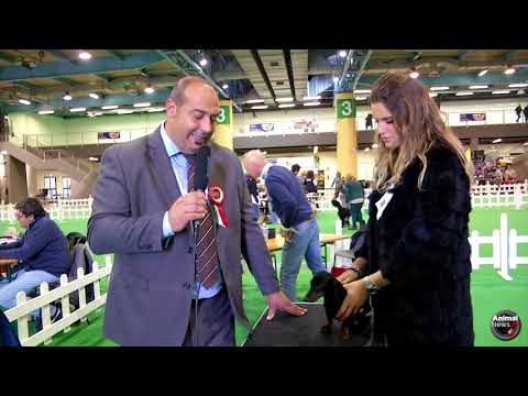 Insubria Winner Circuit 2017 - Interview with Judge Mariano di Chicco