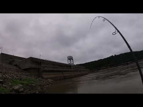 Ozark Dam Summer Fishing 2025