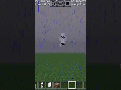 Unveiling the Minecraft Ghost