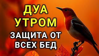 СИЛЬНЕЙШЕЕ ДУА УТРОМ ОТ ВСЕХ БЕД 🌹🌈