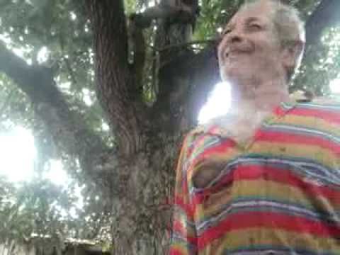 Histórias de Tio Chico