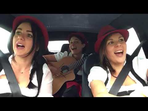 Wies'n Jodler Hollerstauden