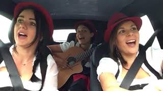 Wies'n Jodler Hollerstauden