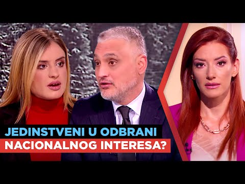 Jesmo li jedinstveni u odbrani nacionalnog interesa? Milica Đurđević Stamenkovski, Čedomir Jovanović