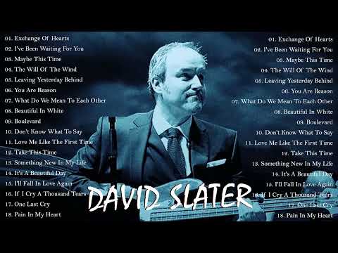 David Slater Greatest Hits - The Best Songs Of David Slater