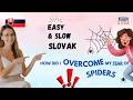 Easy And Slow Slovak Am I Afraid Of Spiders ️ 🫨 Find Out