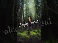 Nadukatil Thanimai Vanthathe Fullscreen WhatsApp Status TAMILSHOTS Fullscreen