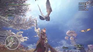 [モンハン初心者] MHW  HR29 ゆとりツインテールが狩る  ＃5 　XAHxwTGewxQ