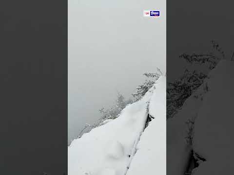 शिमला में सीजन की पहली बर्फ़बारी Snowfall ने बदल दिया पूरा नज़ारा