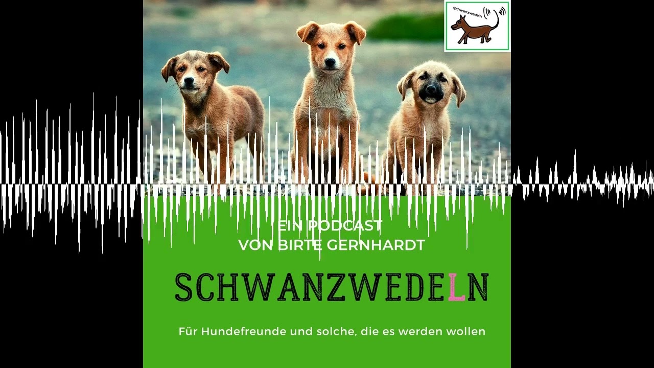 97 Impfungen- Gesundheitsvorsorge und Vorbeugung - Schwanzwedeln