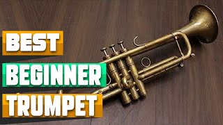 Video thumbnail for Beginner Trumpet : Can I Try Once from here? by Musical Instrument