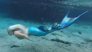 BILL'S AMAZING SWIM WITH A MERMAID!
