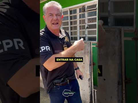 PRISÃO POR MAUS-TRATOS EM JOAQUIM TÁVORA!
