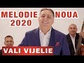 VALI VIJELIE LIVIU PUSTIU MAI BINE PETREC SI BEAU NOU 2019 2020