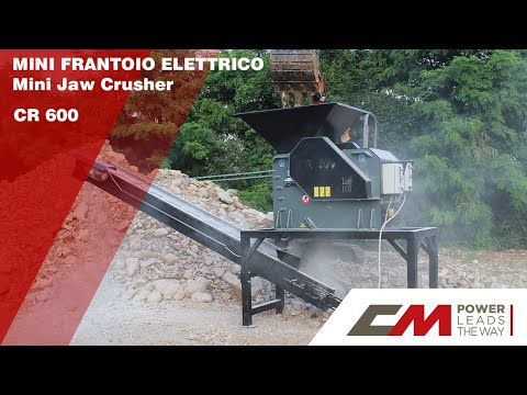 Mini concasseur à mâchoires pour BTP_4