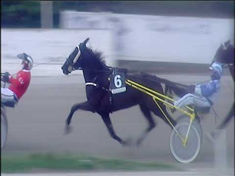 Trotto 20/12/2019 - 5ª corsa