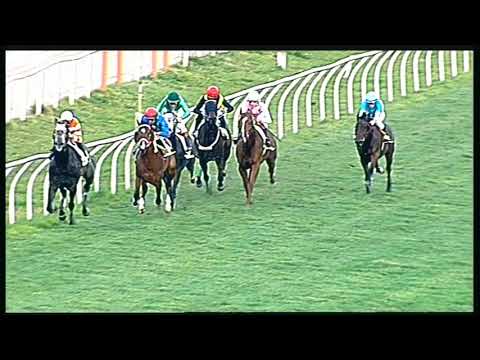 Galoppo 18/02/2020 - 4ª corsa