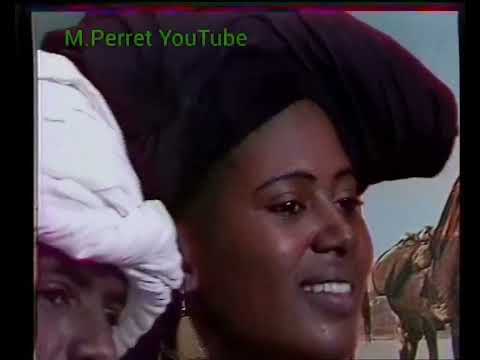 Niger.Touareg Musique Traditionnelle (Groupe Tende)
