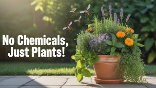 Top Entomologist Shares Proven Plants That REPEL Mosquitoes Instantly