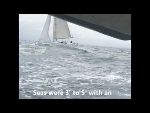 S/V Southern Cross Ep. 11 - Blue Whale while sailing the Pacific Ocean
