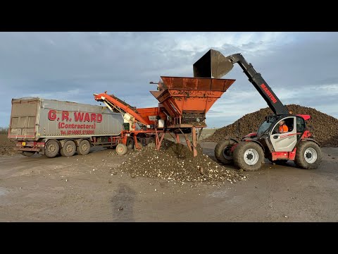 FARM UPDATE 106 LAST DELIVERIES OF SUGAR BEET FROM TRICKY SOIL & RESULTING HIGH SOIL CONTENT